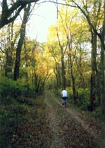 Dave is riding a bicycle in the woods