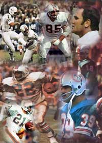 The 1972 Miami Dolphins